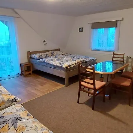Pensionat Na Vysluni
